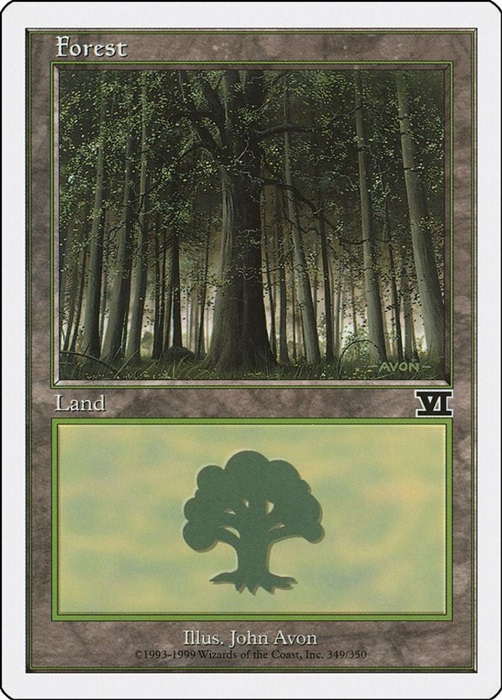 Forest (349)