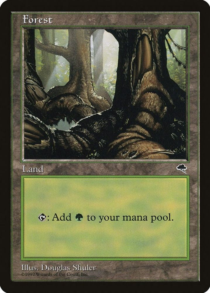 Forest (Pond)