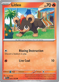 Litleo [031/193] - SV02: Paldea Evolved (PAL)