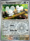 Tandemaus - 073/091 [073/091] - SV: Paldean Fates (PAF) - Reverse Holofoil
