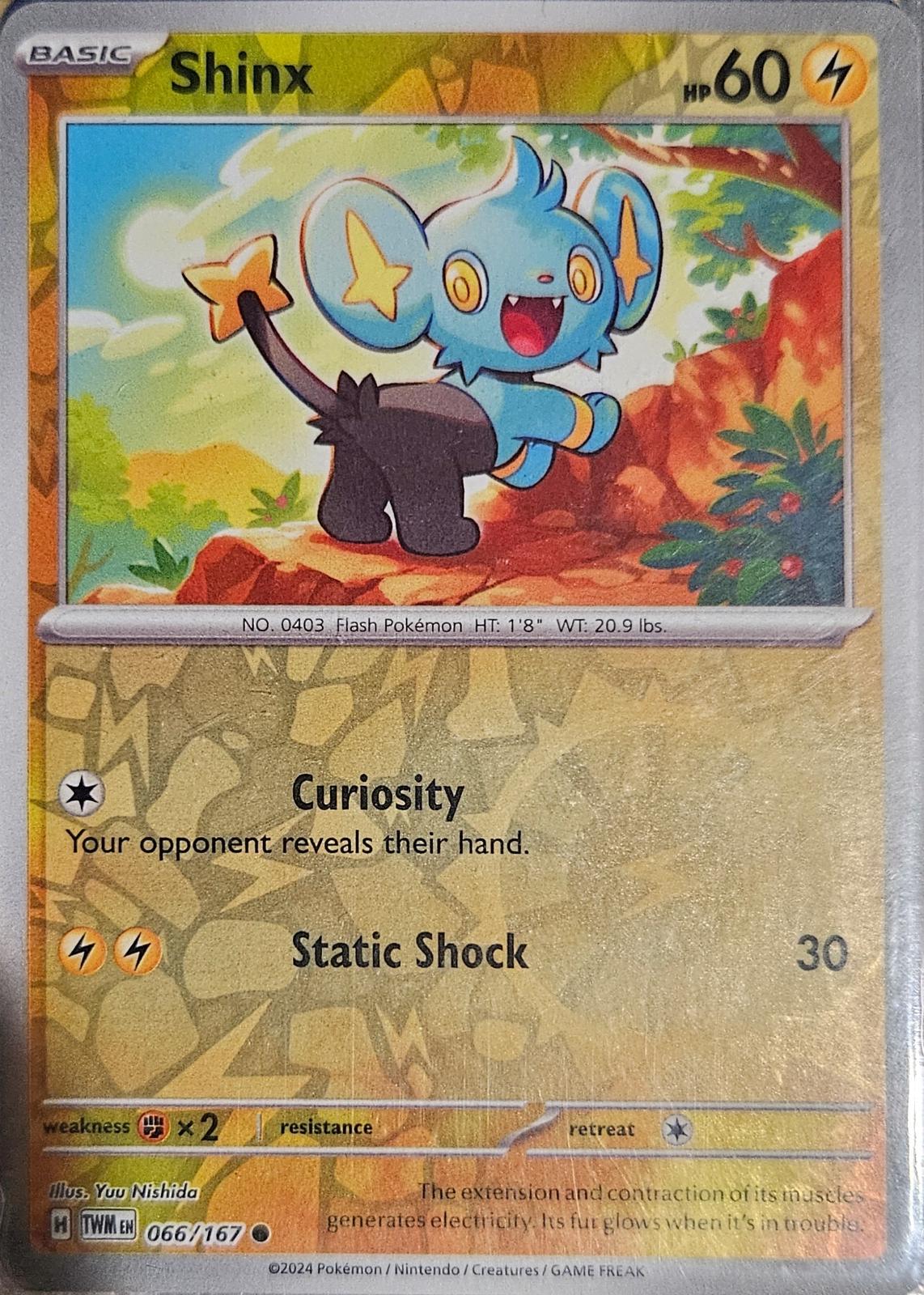 Shinx [066/167] - SV06: Twilight Masquerade (TWM) - Reverse Holofoil