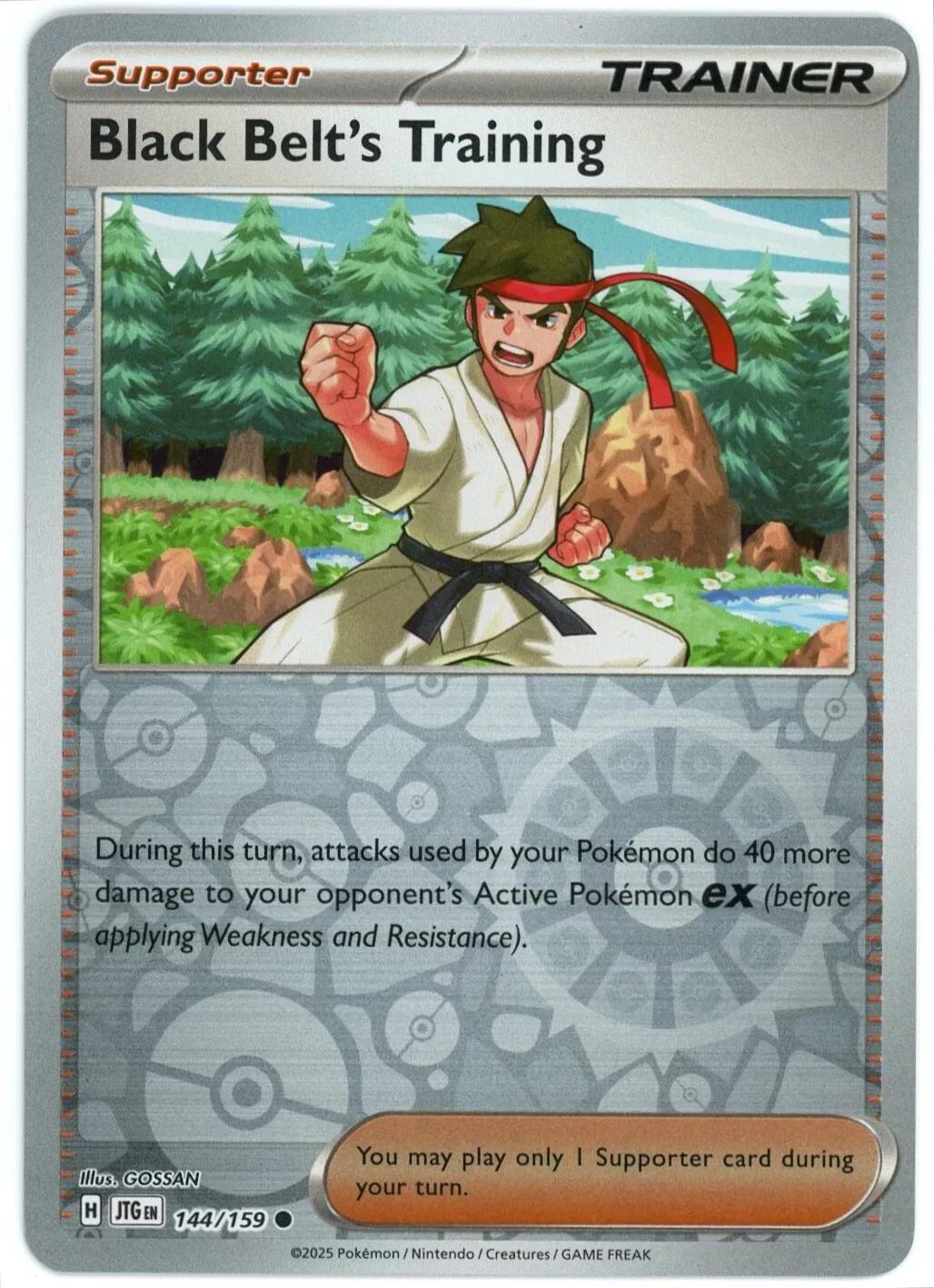 Black Belt's Training - 144/159 [144/159] - SV09: Journey Together (JTG) - Reverse Holofoil