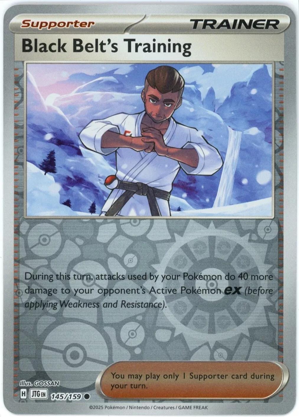 Black Belt's Training - 145/159 [145/159] - SV09: Journey Together (JTG) - Reverse Holofoil
