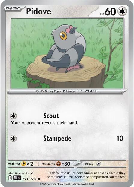 Pidove [071/086] - SV: Black Bolt (BLK)
