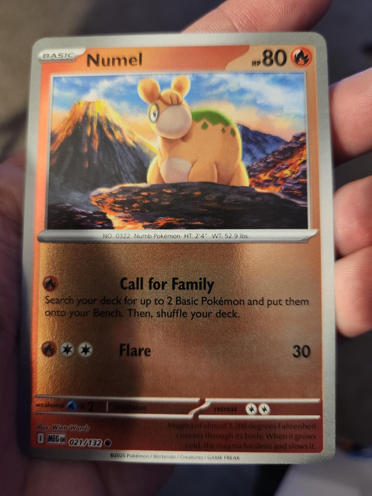 Numel [021/132] - ME01: Mega Evolution (MEG) - Reverse Holofoil