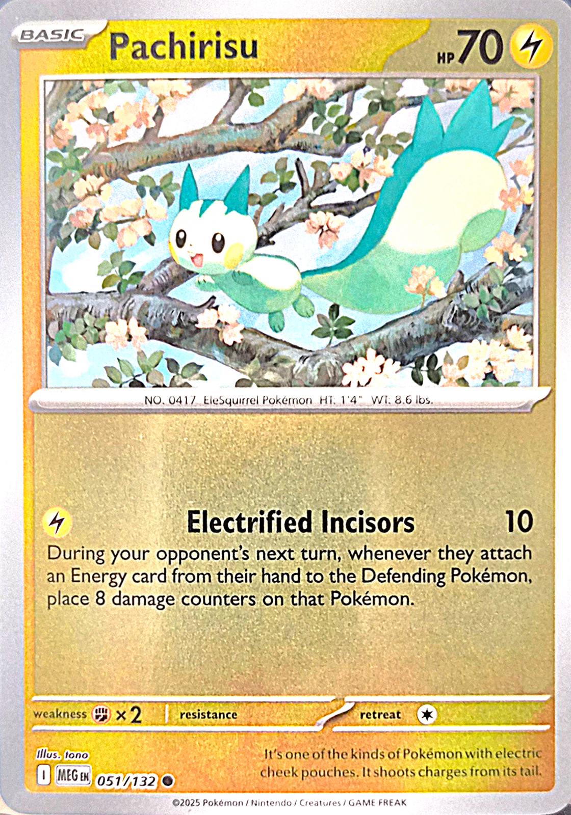 Pachirisu [051/132] - ME01: Mega Evolution (MEG) - Reverse Holofoil