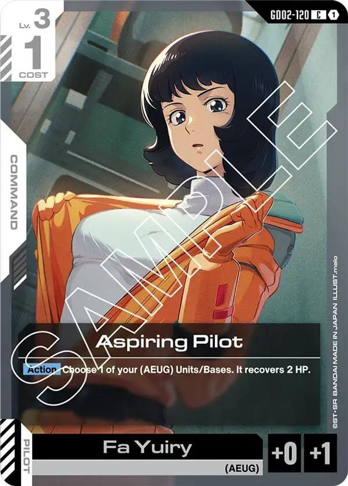 Aspiring Pilot