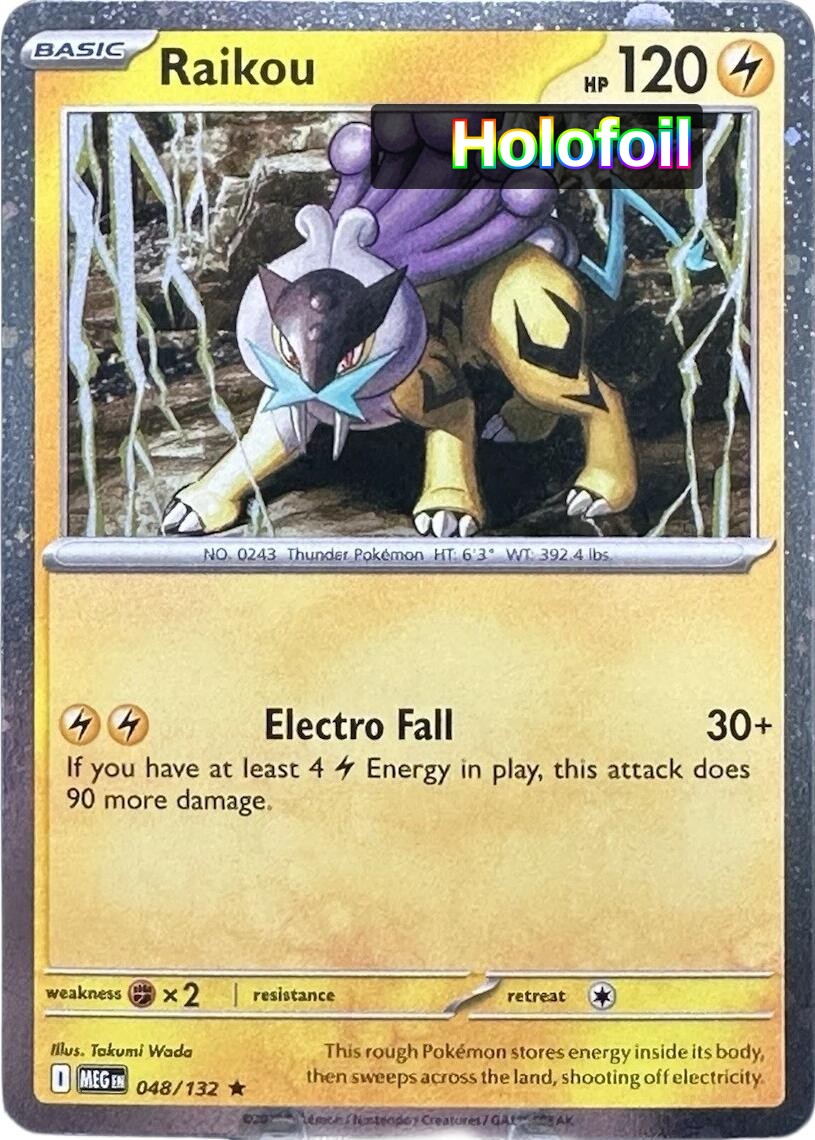 Raikou - 048/132 (Cosmos Holo)