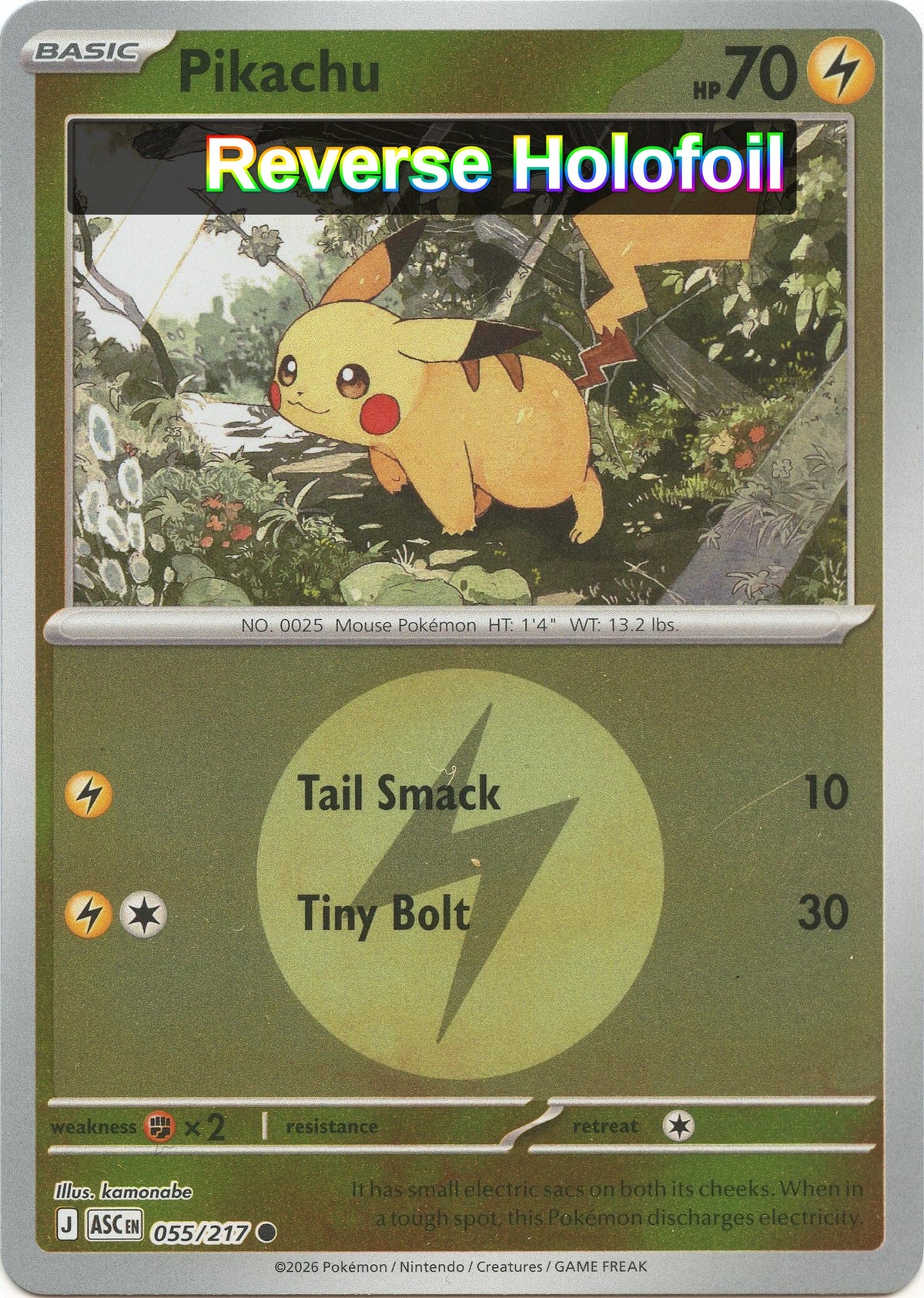Pikachu (Energy Symbol Pattern)