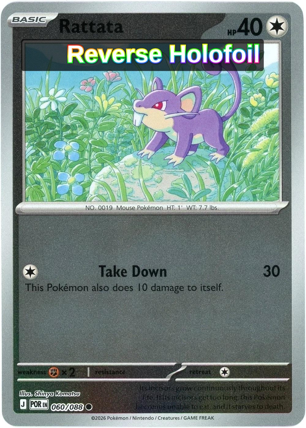 Rattata
