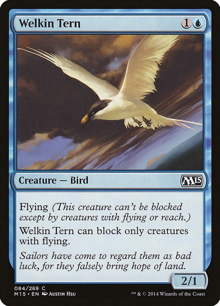 Welkin Tern